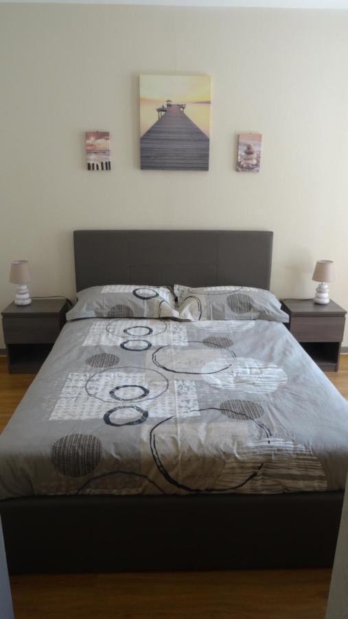 Appart T2 Standing Tout Confort Avec Balcon - Parking En Option Lyon Buitenkant foto