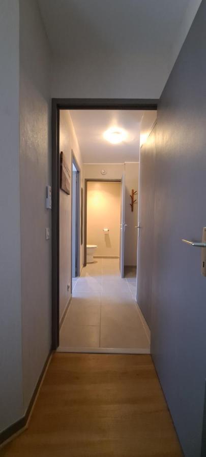 Appart T2 Standing Tout Confort Avec Balcon - Parking En Option Lyon Buitenkant foto